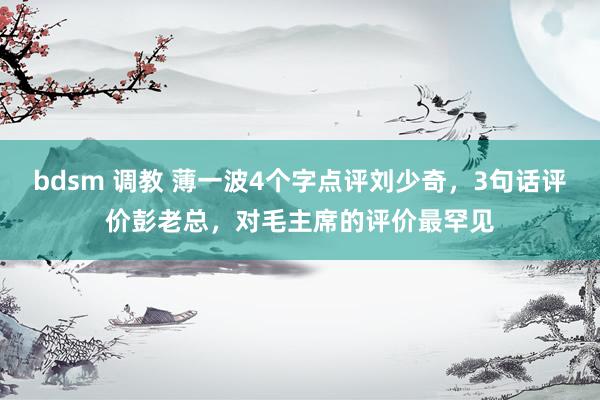 bdsm 调教 薄一波4个字点评刘少奇，3句话评价彭老总，对毛主席的评价最罕见