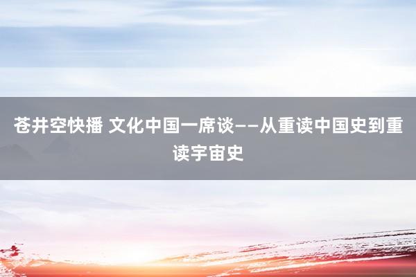 苍井空快播 文化中国一席谈——从重读中国史到重读宇宙史