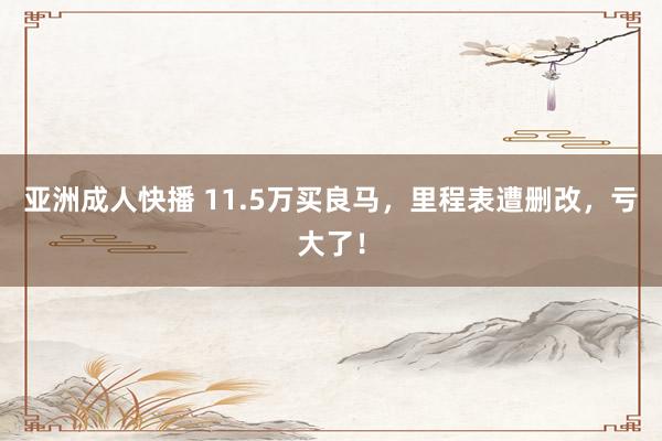 亚洲成人快播 11.5万买良马，里程表遭删改，亏大了！