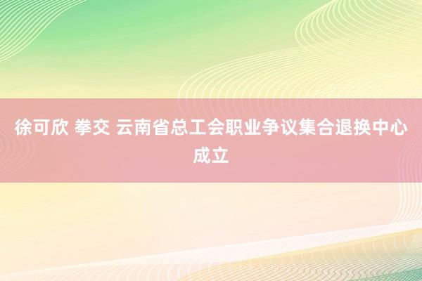 徐可欣 拳交 云南省总工会职业争议集合退换中心成立