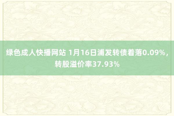 绿色成人快播网站 1月16日浦发转债着落0.09%，转股溢价率37.93%