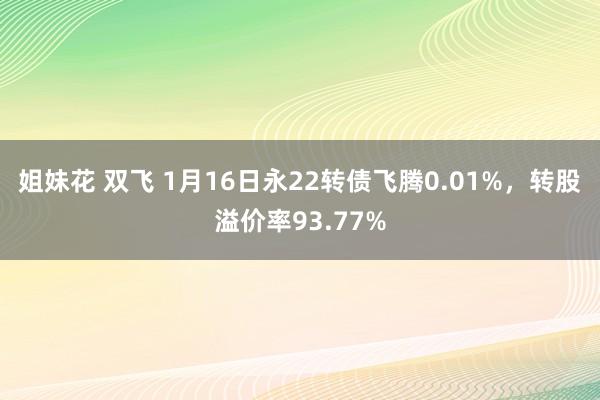 姐妹花 双飞 1月16日永22转债飞腾0.01%，转股溢价率93.77%