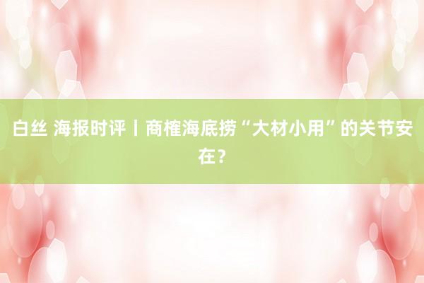 白丝 海报时评丨商榷海底捞“大材小用”的关节安在？