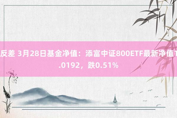 反差 3月28日基金净值：添富中证800ETF最新净值1.0192，跌0.51%